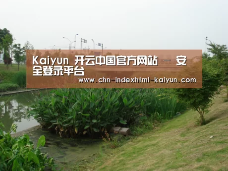 案例展示四(图1)