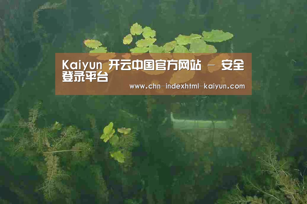 案例展示三(图1)