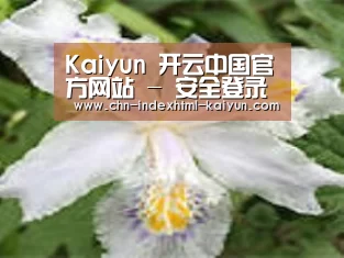 产品名称二