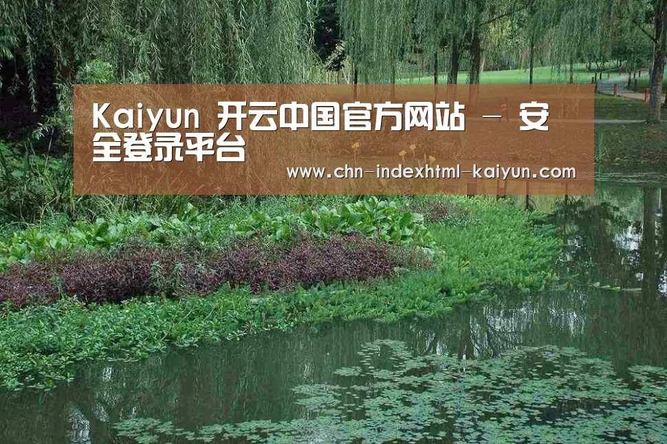 案例展示一