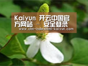 产品名称三