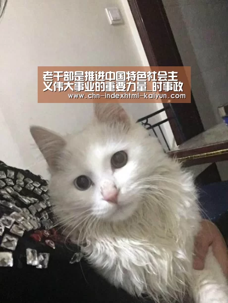 开云