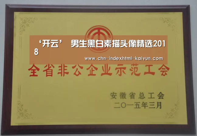 ‘开云’
男生黑白素描头像精选2018(图3)