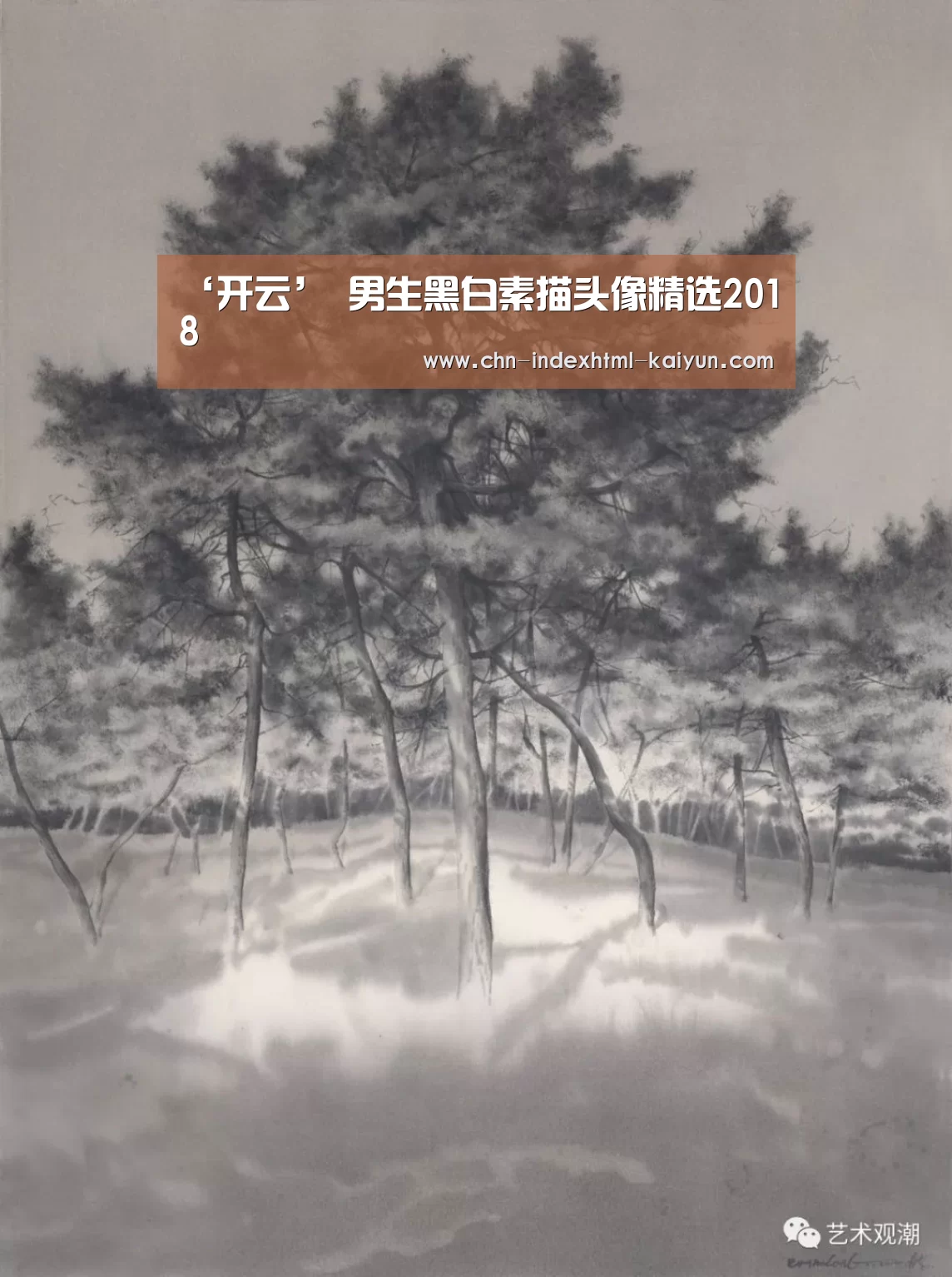 开云