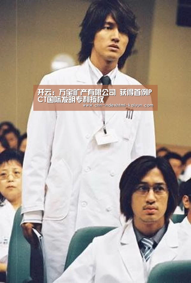 开云：万宝矿产有限公司 获得首例PCT国际发明专利授权(图4)