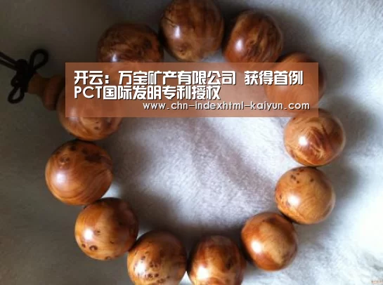 开云：万宝矿产有限公司 获得首例PCT国际发明专利授权(图2)