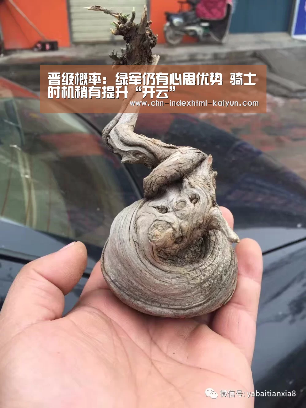 开云